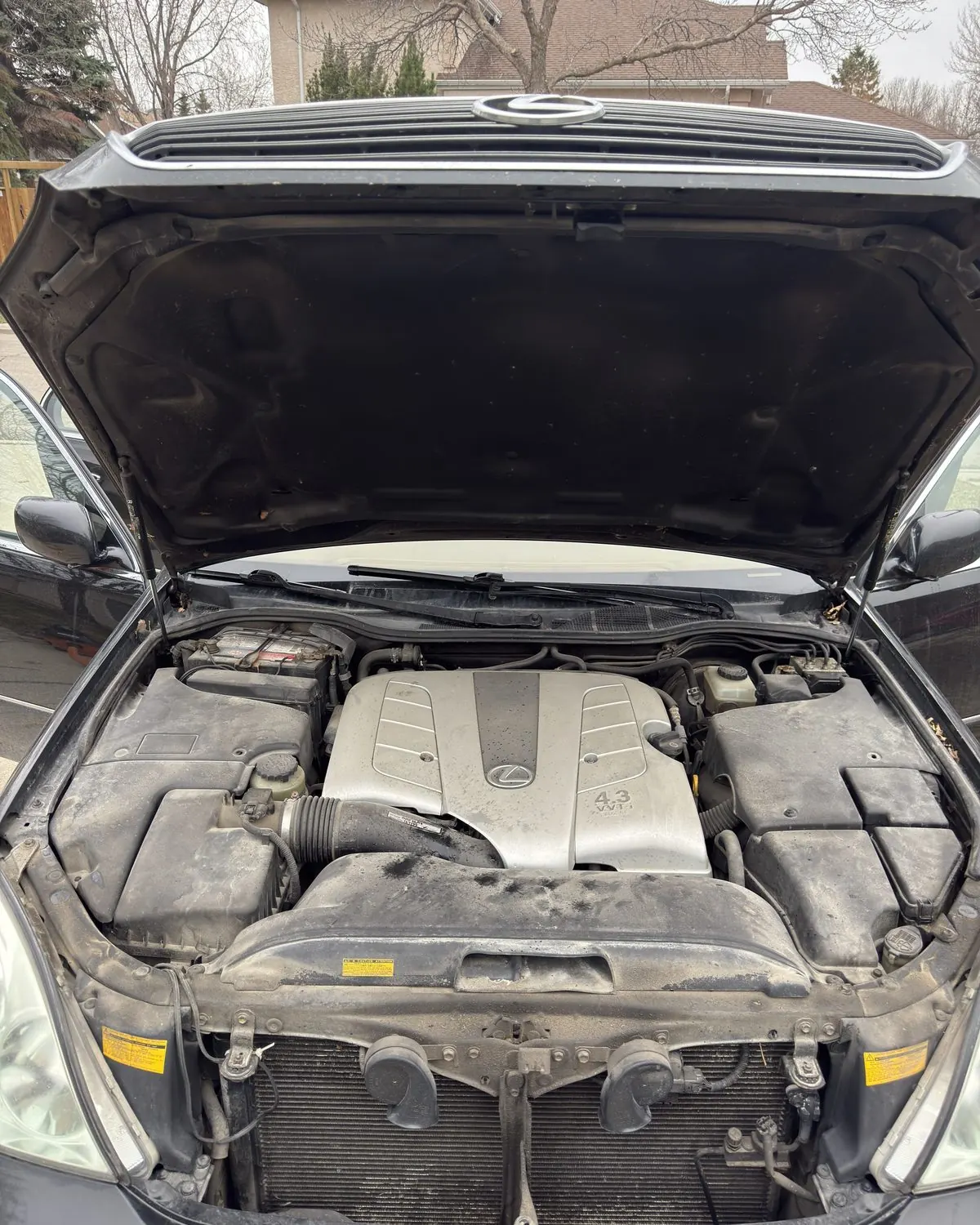 Lexus LS &mdash; Engine Bay — before