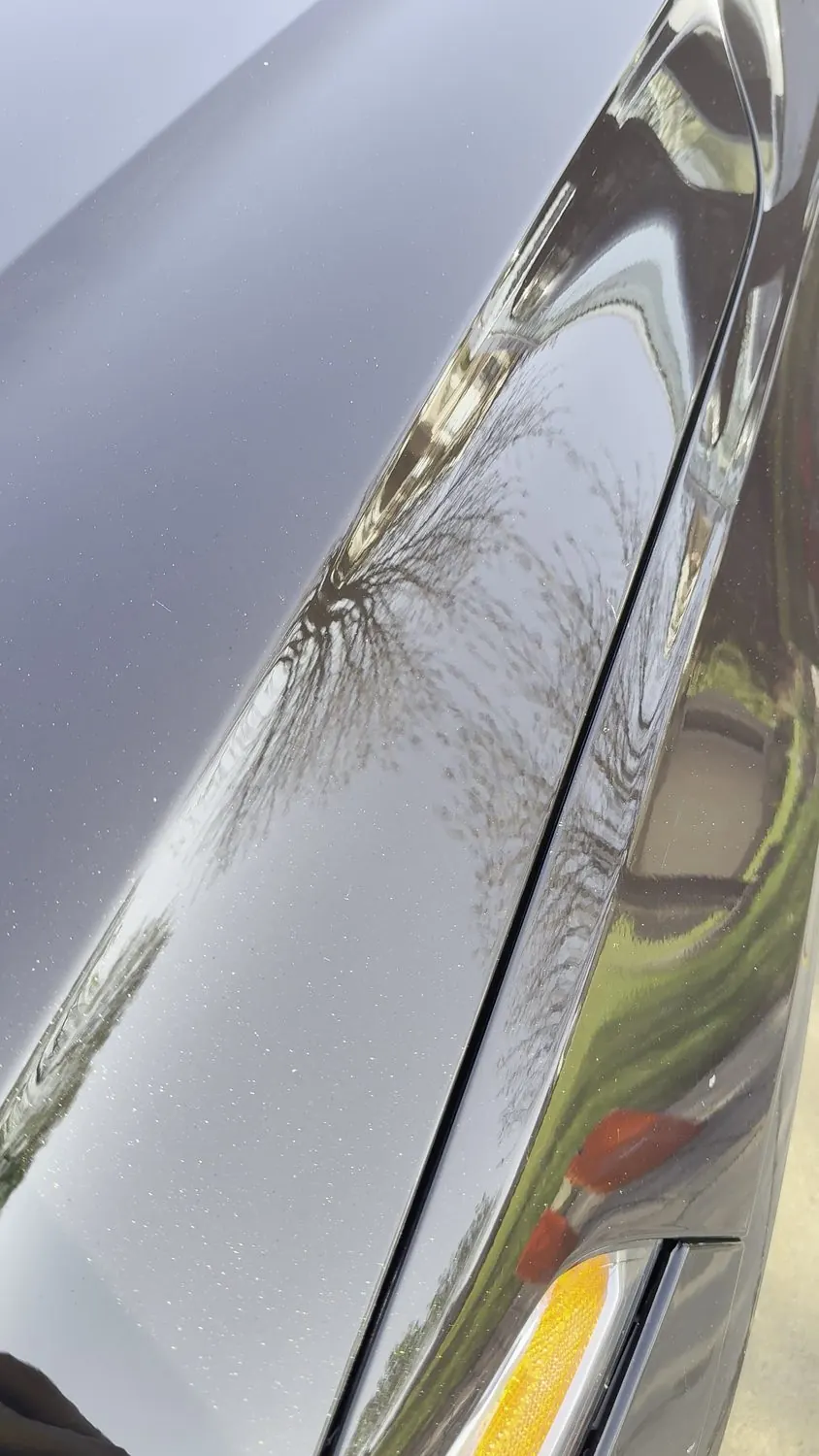 Volvo &mdash; Hood — Swirl Removal — after
