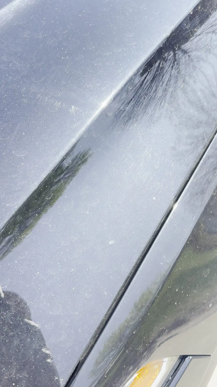 Volvo &mdash; Hood — Swirl Removal — before