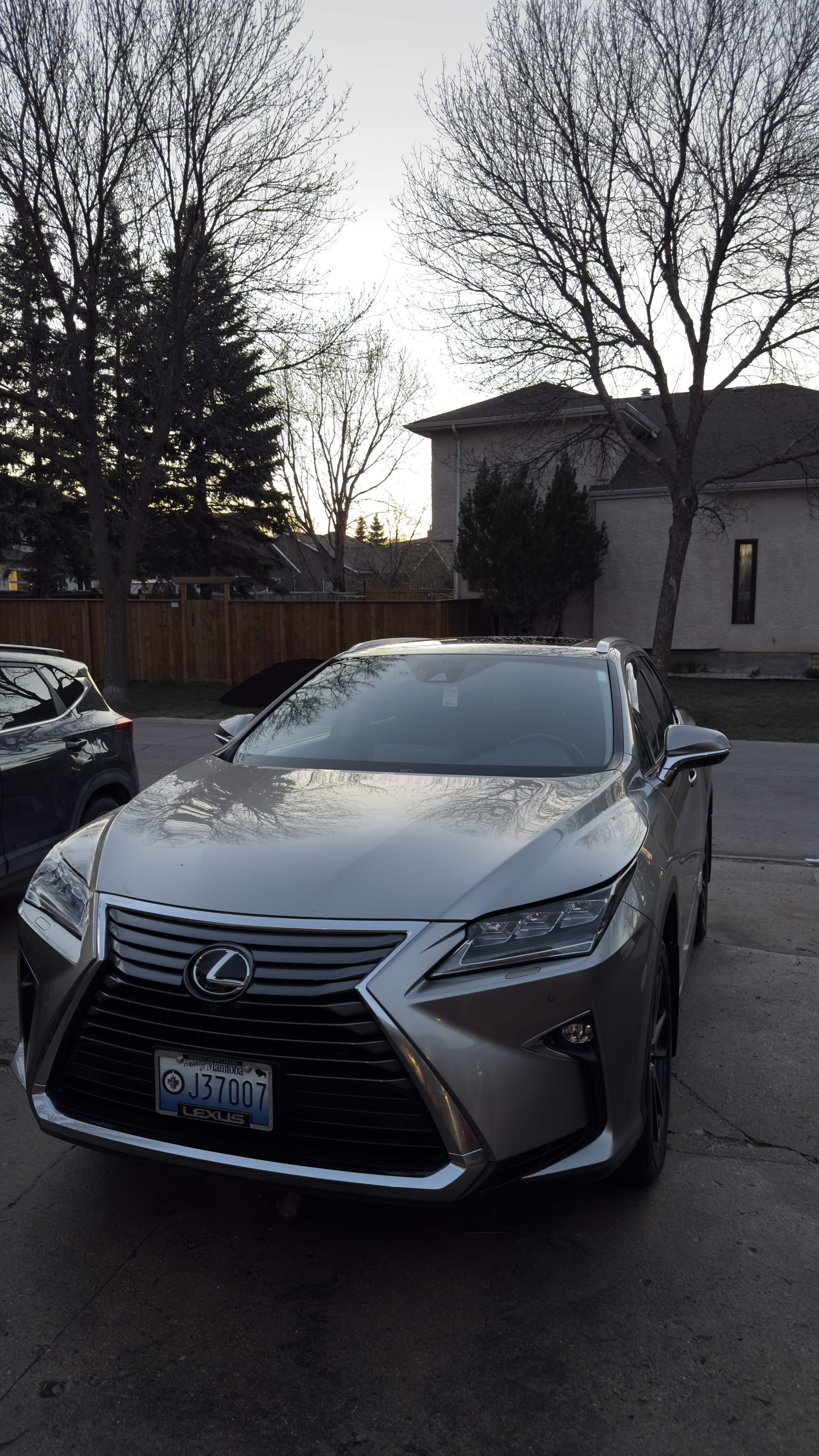 Reflective Rides — Lexus RX Detail